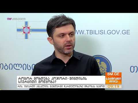 როგორ მოხდება კოჯორი-შინდისის სივრცითი მოწყობა?