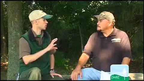 Q1 Buck Pole: Regional Deer Regulations