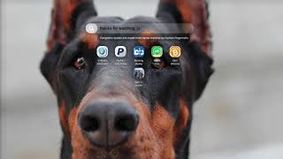 Doberman Wallpaper & Doberman Dog Theme German Doberman Wallpaper screenshot 1