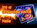 ТОП 10 необычных фактов о Знаке Зодиака Рыбы