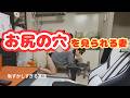 騙された!ショッキングな出来事をお聞き下さい。