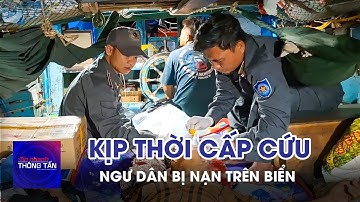 Tàu Kiểm ngư kịp thời cấp cứu ngư dân bị nạn trên biển | Tin nhanh Thông tấn