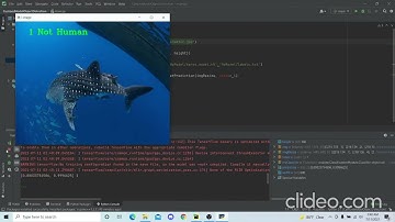 Underwater Human Detection with my first and very own Custom Model