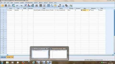 How to create a File in SPSS a video tutorial by RK Business School