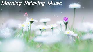 Morning Relaxing Music - Coffee Music and Sunshine