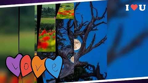 ماتيسر من سورة الكهف من صلاة التهجد بمسجد الهدى النبوي برأس البر بصوت القارئ محمد بن طه حفظه الله