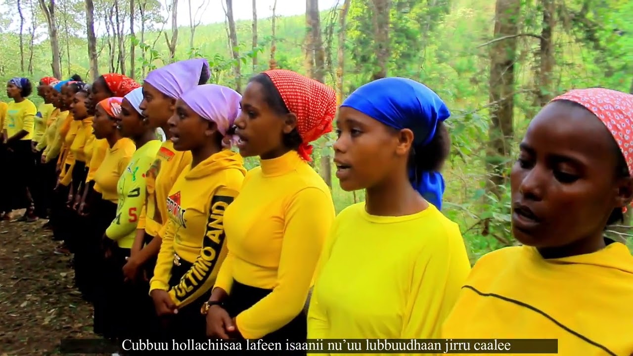 Jecha Tarreedhaan midhaaksani