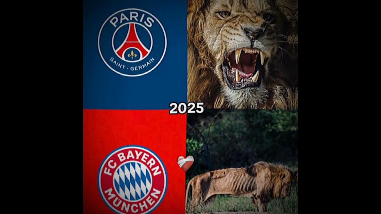PSG X Bayern Munich 
