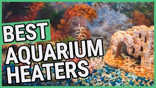 Best Aquarium Heater | TOP 7 Aquarium Heaters (2021) 🐟 🐠 ✅ by PETSCOPE 2,604 views 3 years ago 9 minutes, 2 seconds