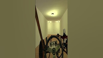 My Cat Meets A Clown Convoy In The Hallway 😹🤡