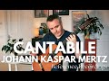 Capture de la vidéo Cantabile By Johann Kaspar Mertz. Matthew Mcallister (Guitar).