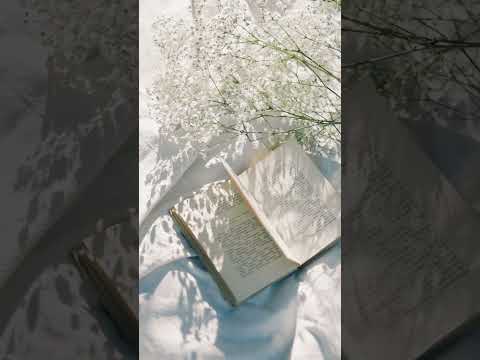 فيديوهات للمونتاج مقطع كتاب من الأعلى هادئ و مريح تصميم 