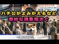 【衝撃】渋谷ハチ公が蘇るなど各地で異常現象