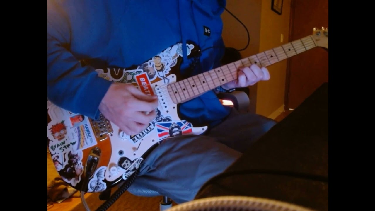 Rare Americans - Cats, Dogs, & Rats (Guitar Cover)