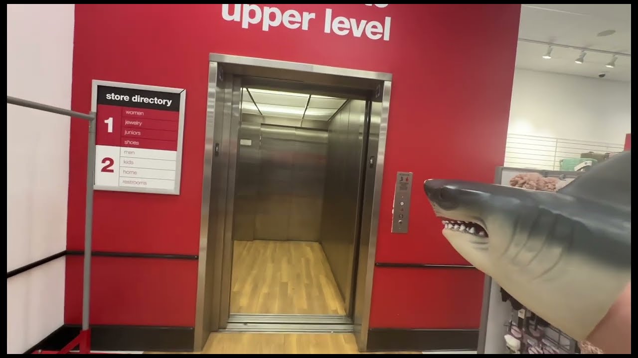 Shark puppet goes on a elevator (Part 2)