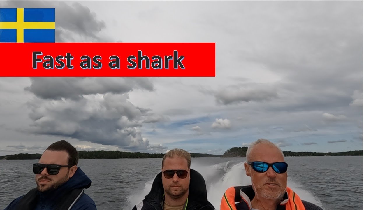 ⁣Speeding Miami style Ep 97