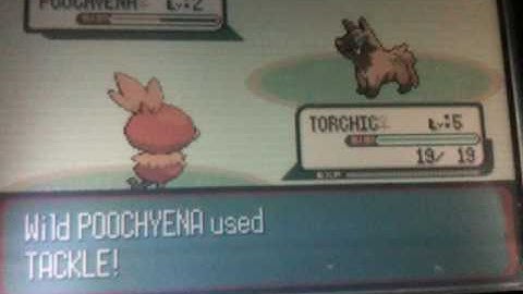 Shiny Uncatchable Poochyena after 283 SRs (Pokemon Sapphire)