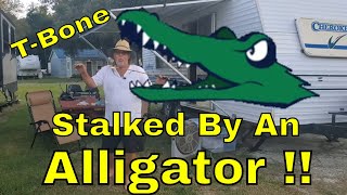 Camping and Fishing at Lake Marion Santee South Carolina.  T-Bone and Mrs. T Stalked by an Alligator
