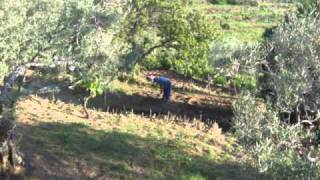 Villa De Gata Patrimonio De Lo Natural 2ª Parte