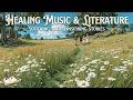Gentle Rest, Nostalgic Piano, Peaceful Strings, Healing Music Literature, Deep Focus Mix