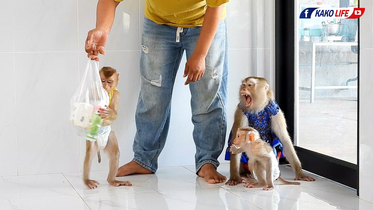 Little Valen Walking Follow Grandma Request Milk