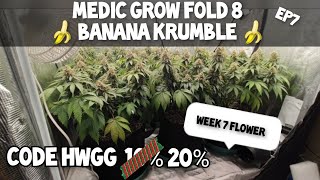 Banana Krumble Ep7 big beautiful nugs week 7.2 flower 🌼 dense buds   Blackfirday sale code HWGG.