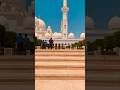 Most Beautiful Mosque in the World ✨ | Sheikh Zayed Grand Mosque #shorts