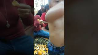 Me Nyuam Liab Qab Noj Txiv Nawb