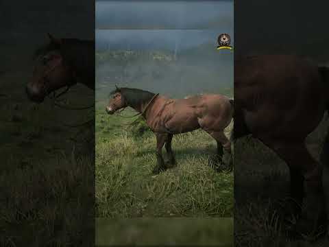 ازاي تجيب حصان الاميريكان بينت والموستينج    2