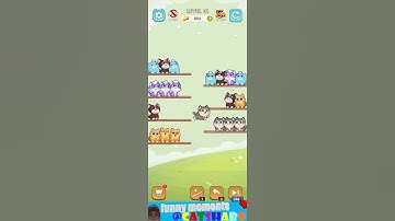 Cat Sort Puzzle Level 31