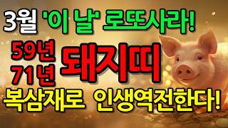 59년 71년 돼지띠 주목! 25년 3월 운명을 바꿀 큰일이 터집니다! '이 날' 반드시 주목하세요 ㅣ59년…