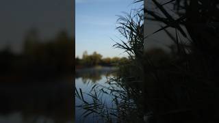 Lenny Stagg catches a carp!