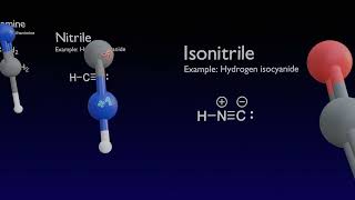 Nitrogen Functional Groups