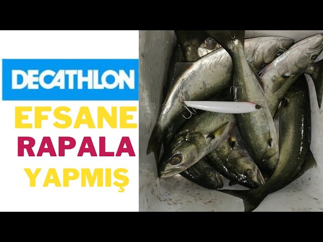 Poisson nageur SAXTON 75S Blanc pêche au leurre en mer pour les clubs et  collectivités