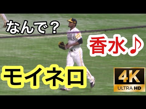 【香水♪】ホークス　モイネロ　登場曲　2020.10.24