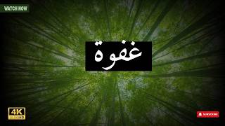 مساحة خاصة للسلام الداخلي 🕊️ (A private space for inner peace)