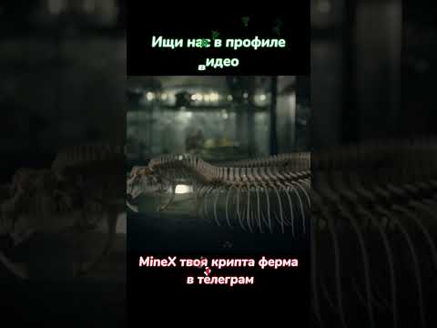 Габонская гадюка #вмиреживотных #животные #кино #nationalgeographics #snake #тикток #топ #фильм