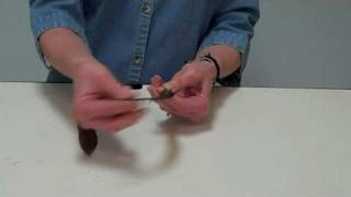 Design Tip: Shaping a Pheasant Feather for Floral Arrangement