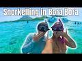 Swim With Sharks & Rays! Our Luxury Cruise Private Island Day in Bora Bora