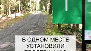 Новая велодорожка от Лазутинской трассы (Одинцово) до Рублевки через Подушкинский лес