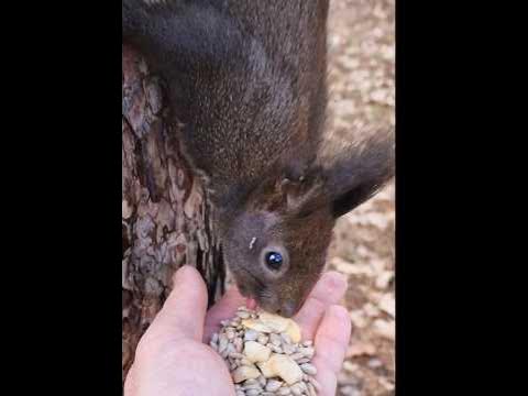 катеричка - YouTube