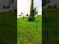 slope area  view down area nature #nature