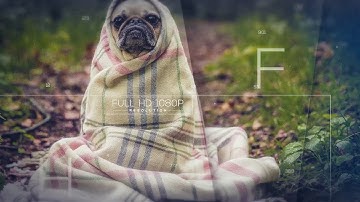 Clean Slideshow| VideoHive Templates | After Effects Project Files