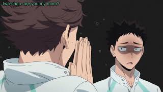 Iwa chan, are you my mom? Haikyuu funny moments