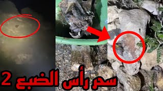 مغامرة فك سحر رأس الضبع في وادي السحرة الجزء 2