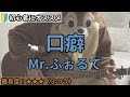 口癖/Mr.ふぉるて/ギター弾き語り練習用動画(コード/ストローク/歌詞)