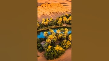 اسلام صبحى سورة ق