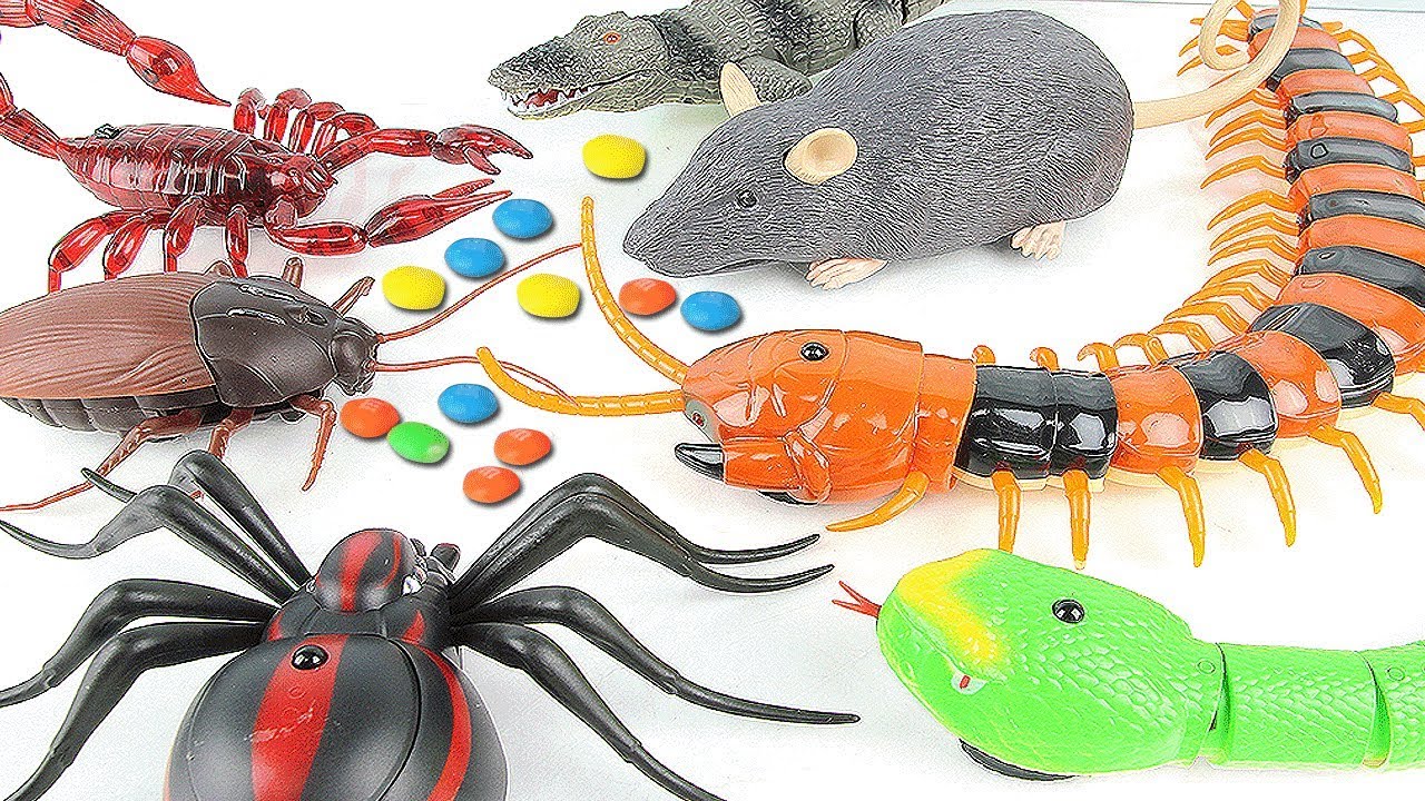 Insects Names For Kids Learn color Dinosaur Bugs Toy Videos For