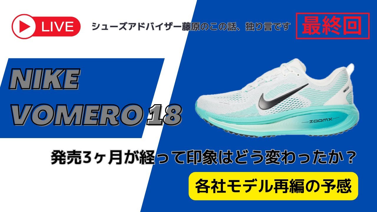NIKE VOMERO 18 】3ヶ月経った印象を30分語ります！/ シューズ