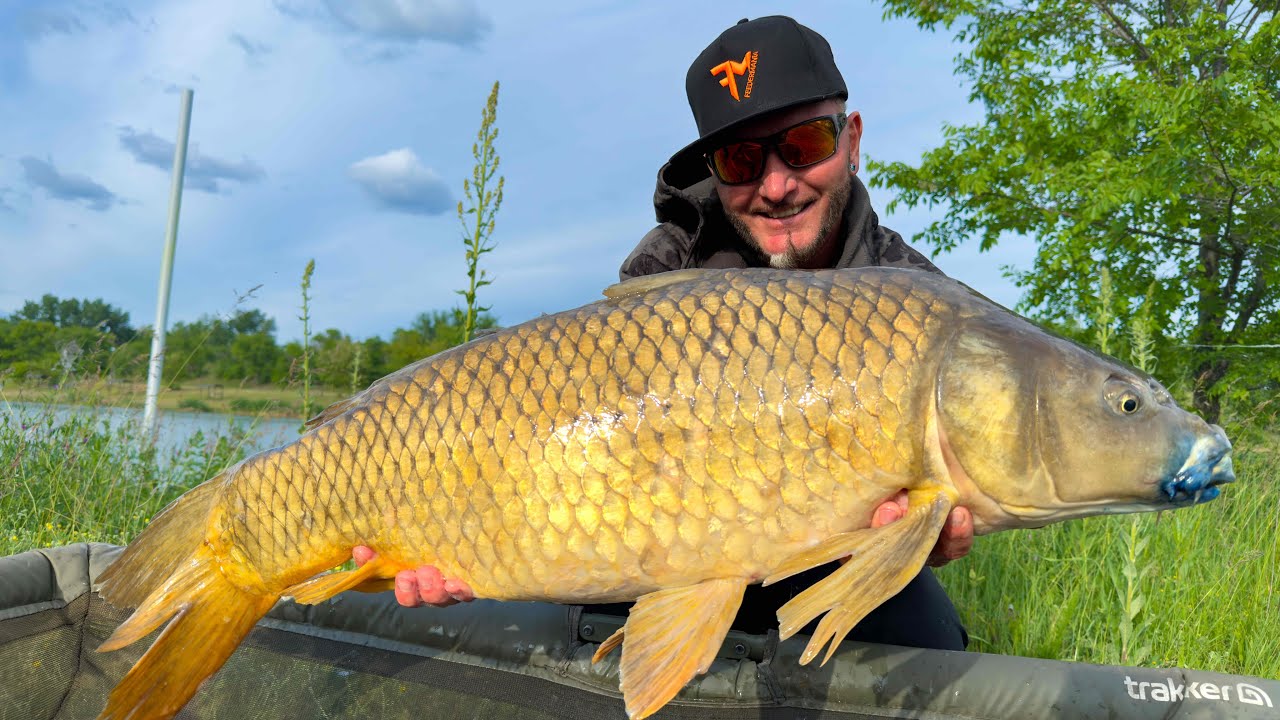 FEEDERMANIA - Partközeli rapid feederezés a Pecatanyán. Rapid feeder fishing on a lake.